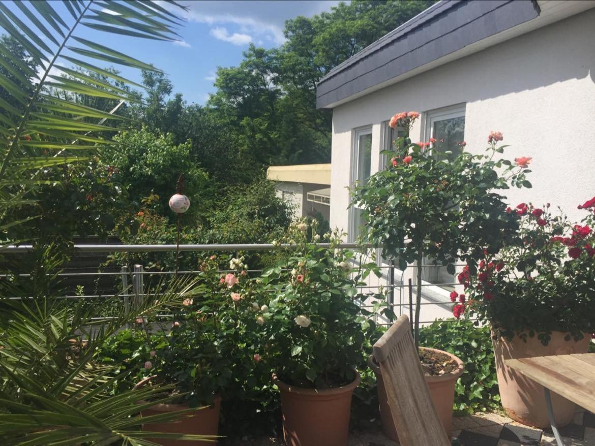 Bei Annemarie Apartment Trier Exterior photo